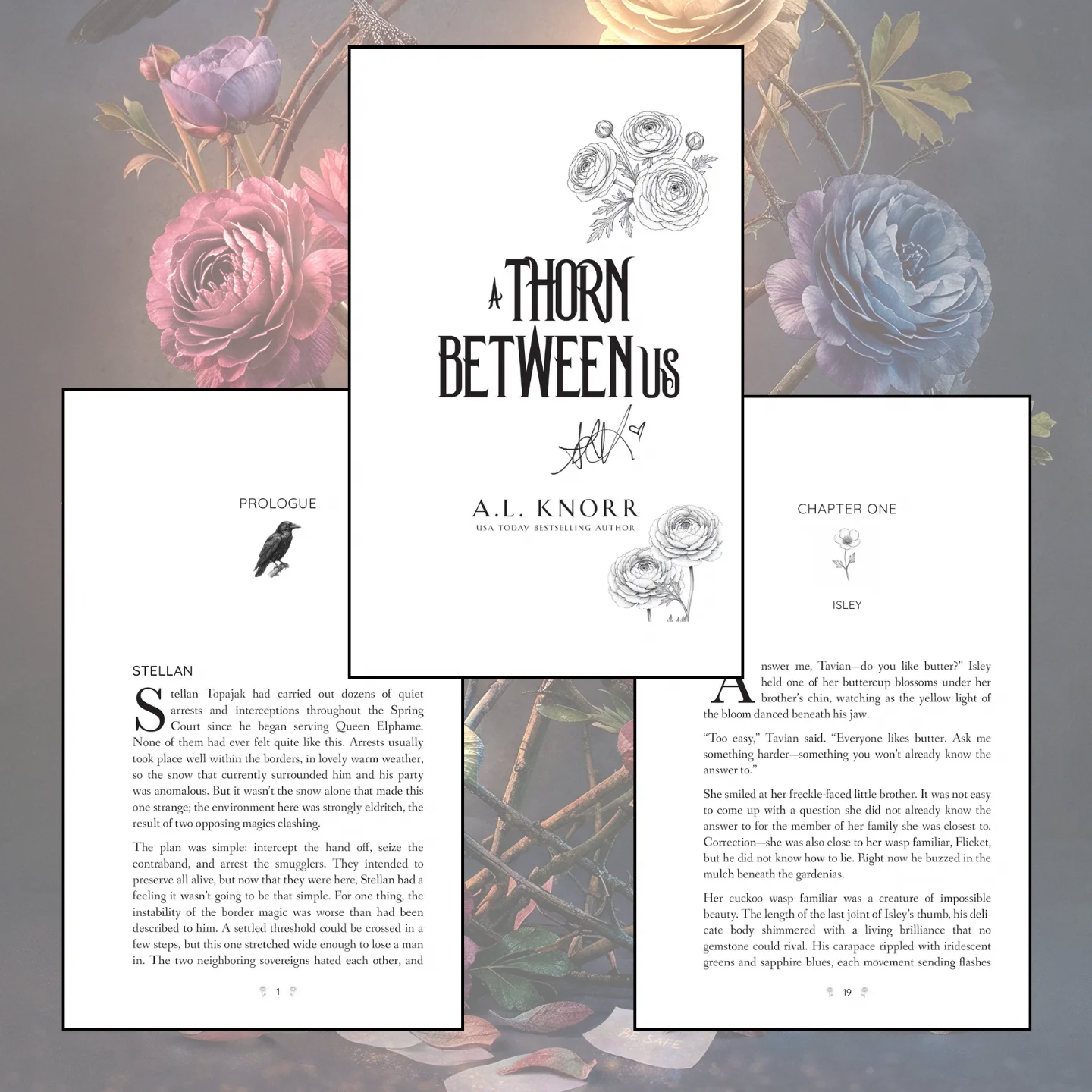 A Thorn Between Us